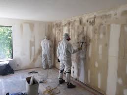 Best Basement Mold Removal  in Covington, LA